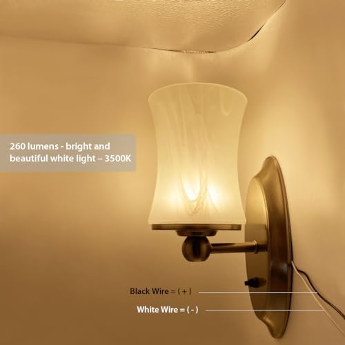 Dream Lighting 12V RV LED Wall Sconce - Glass Lampshade, Warm White 3500K - Perfect for RV Interior Decor - Functional L