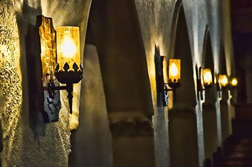 Dusk to Dawn LED Bulbs, Photocell Sensor, Auto On/Off, Warm White 2700K, E26 8W 800lm, Outdoor Lighting for Garden and G