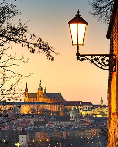 Dusk to Dawn LED Bulbs, Photocell Sensor, Auto On/Off, Warm White 2700K, E26 8W 800lm, Outdoor Lighting for Garden and G